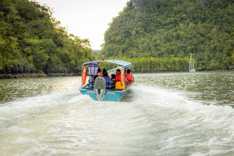 Langkawi:6 Hours Mangrove Night Safari with Pick Up & Dinner - The Nighttime Bioluminescent Wonder
