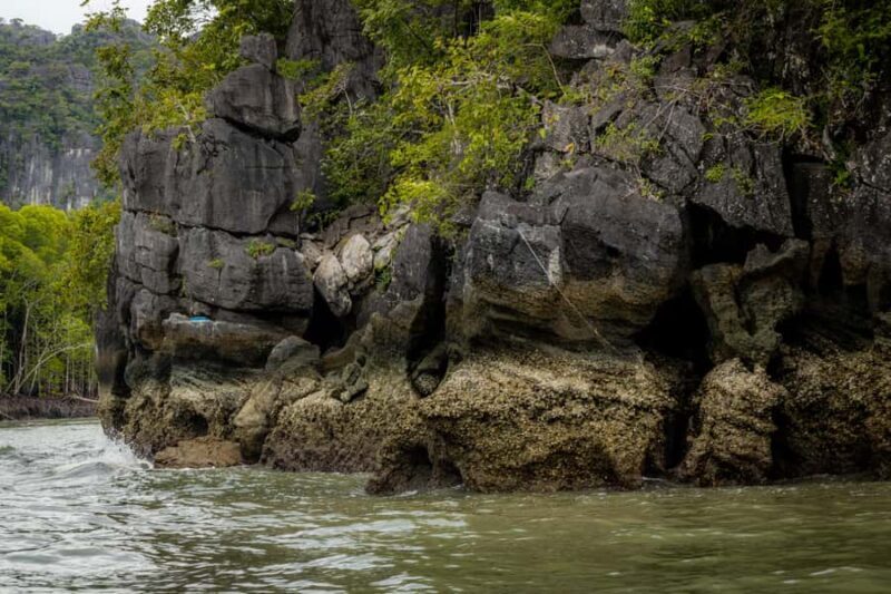 Langkawi:6 Hours Mangrove Night Safari with Pick Up & Dinner - Practical Details & What to Expect