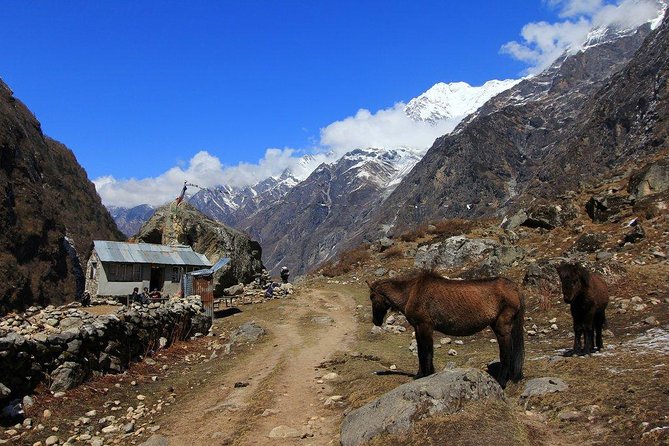 Langtang Gosaikunda Trek - 16 Days - Booking and Payment Information
