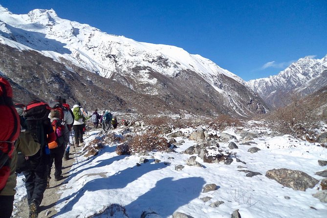 Langtang Journey: Trekking in Nepals Langtang National Park - Langtang National Park: An Overview