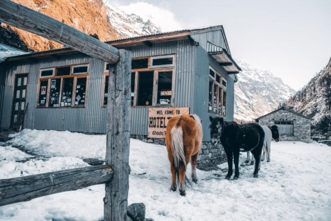 Langtang Tamang Heritage Trek 14 Days - Cultural Immersion