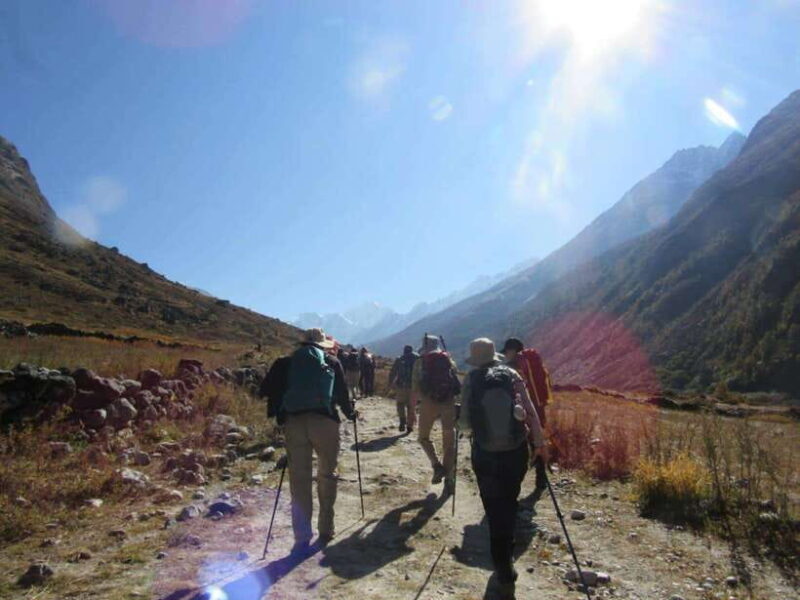 Langtang Trek -6 days. - Discovering the Langtang Trek – 6 Days of Himalayan Charm