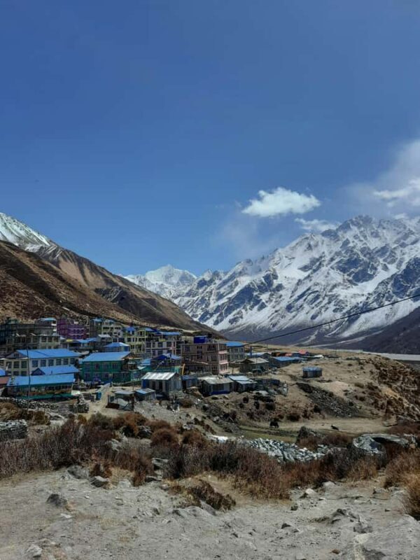 Langtang Valley HeliTour with Landing at Kyanjin Gompa - Why You Should Consider This Tour