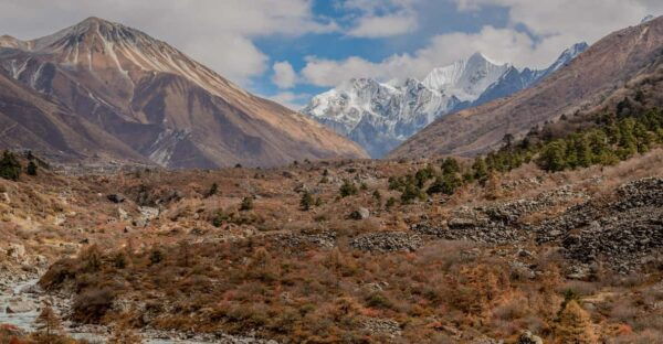 Langtang Valley Trek- 10 Days - Trek Difficulty and Tips