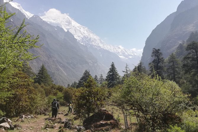 Langtang Valley Trek - 10 Days - Trek Staff and Services