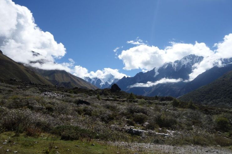 Langtang Valley Trek - Trek Highlights