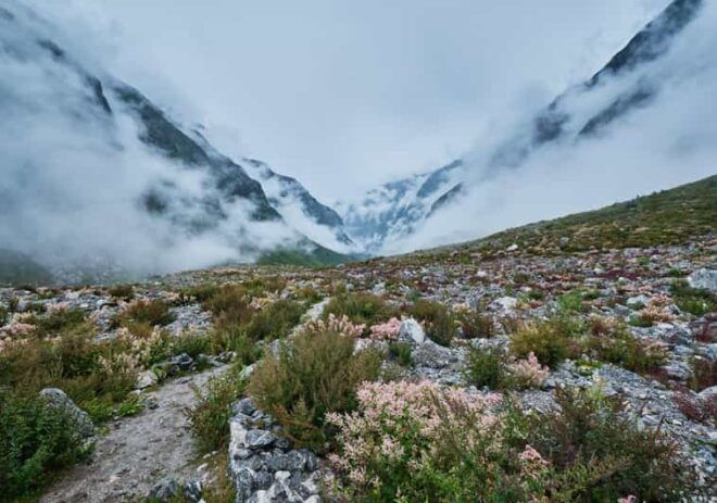 Langtang Valley Trek - Experience and Cultural Immersion
