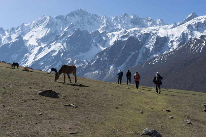 Langtang Valley Trek - Frequently Asked Questions
