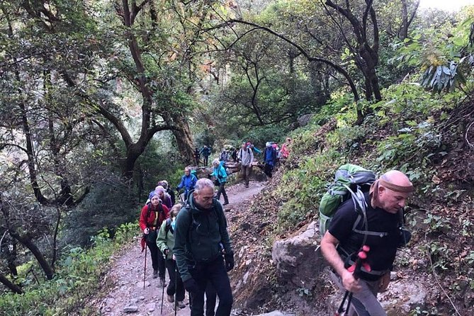 Langtang Valley Trek - Common Questions