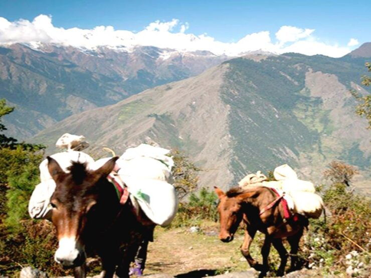 Langtang Valley Trek - 8 Days - Cultural Exploration and Village Visits