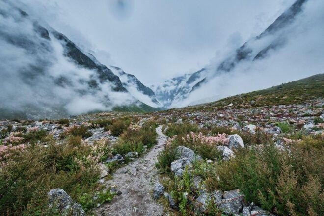 Langtang Valley Trek - 8 Days - Inclusions in the Trek Package