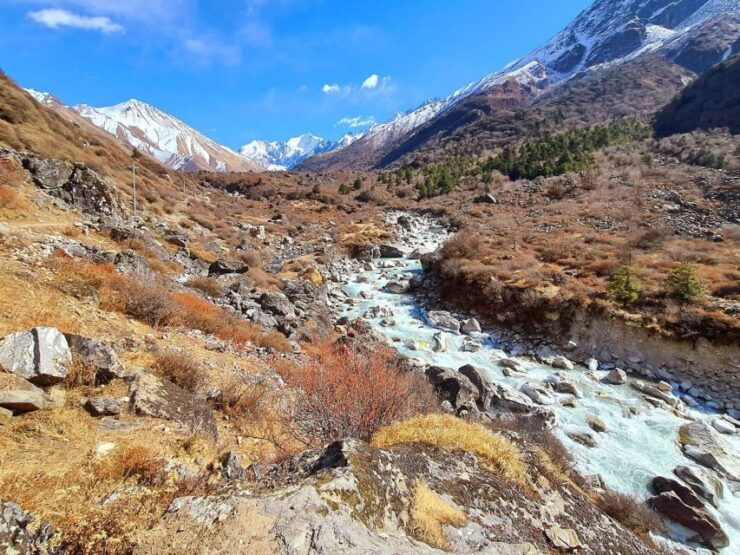 Langtang Valley Trek - 9 Days - Private Group Experience & Cancellation Policy