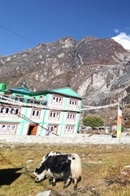 Langtang Valley Trek: a 6-Day Adventure From Kathmandu - Inclusions and Exclusions