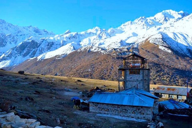 Langtang Valley Trek From Kathmandu - 8 Days - Questions and Pricing