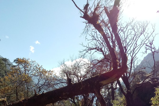 Langtang Valley Trekking - Best Time to Visit