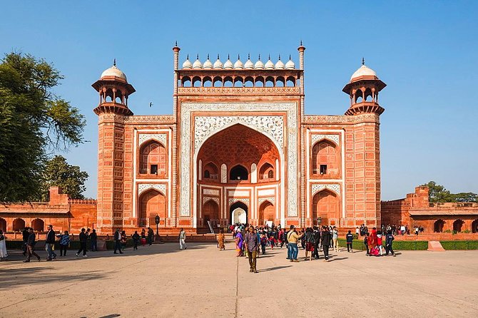 Language Tour Guides - Reviews