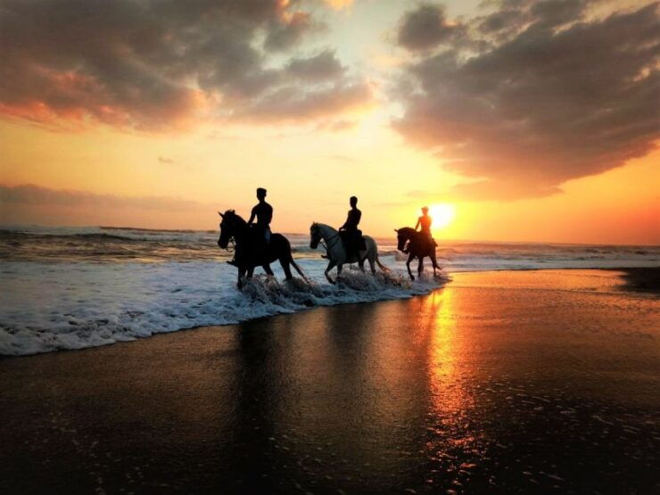Langudu: Horse Riding on the Beach and in the Rice Fields - Booking Information