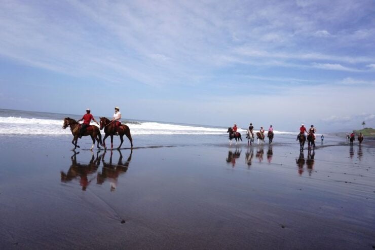 Langudu: Horse Riding on the Beach and in the Rice Fields - Experience Highlights