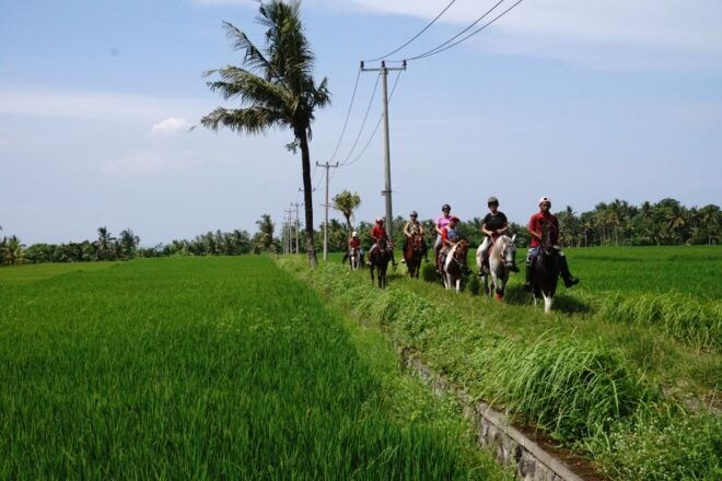 Langudu: Horse Riding on the Beach and in the Rice Fields - Inclusions and Exclusions