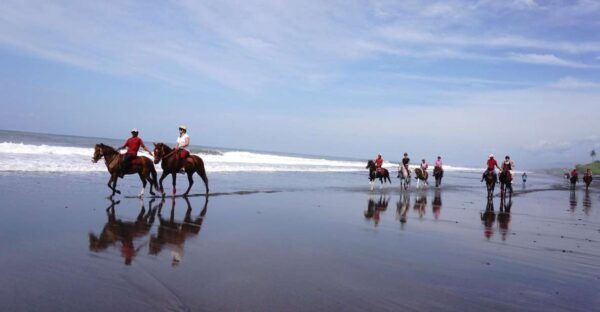Langudu: Horse Riding on the Beach and in the Rice Fields - Common Questions