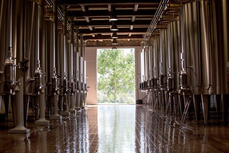 Languedoc: Heritage Tour & Tasting at Domaine De Baronarques - Exploring the Vineyard and Its Unique Features