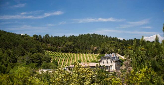 Languedoc: Heritage Tour & Tasting at Domaine De Baronarques - Guided Tour Highlights