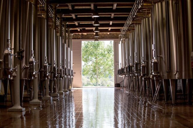 Languedoc: Terroir Tour & Tasting at Domaine De Baronarques - Guided Tour Details