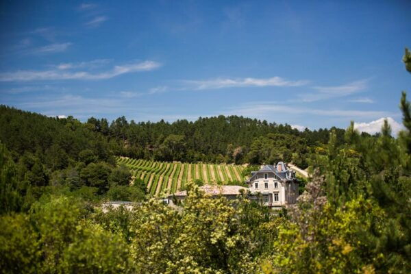 Languedoc: Terroir Tour & Tasting at Domaine De Baronarques - Transportation Arrangements