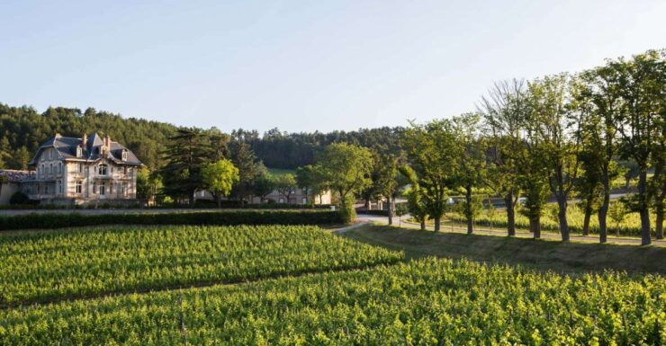 Languedoc: Tour and Tasting at Domaine De Baronarques - Tour Description