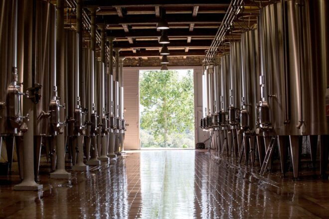 Languedoc: Tour and Tasting at Domaine De Baronarques - Directions