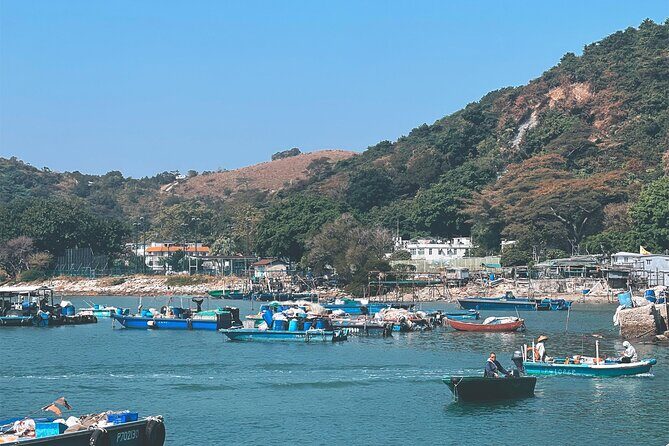 Lantau Group Tour: Dolphin Watching, Fishing Village & Cable Car - Frequently Asked Questions