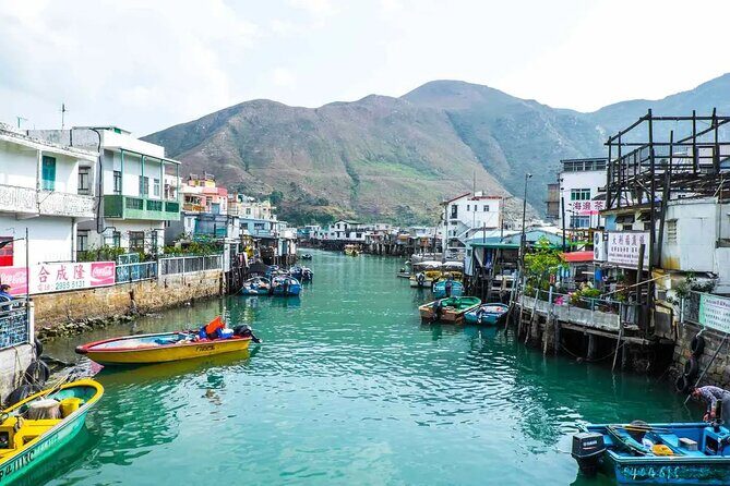 Lantau Island Day Trip | Big Buddha, Dolphin Watching & Cable Car - Who Should Consider This Tour?