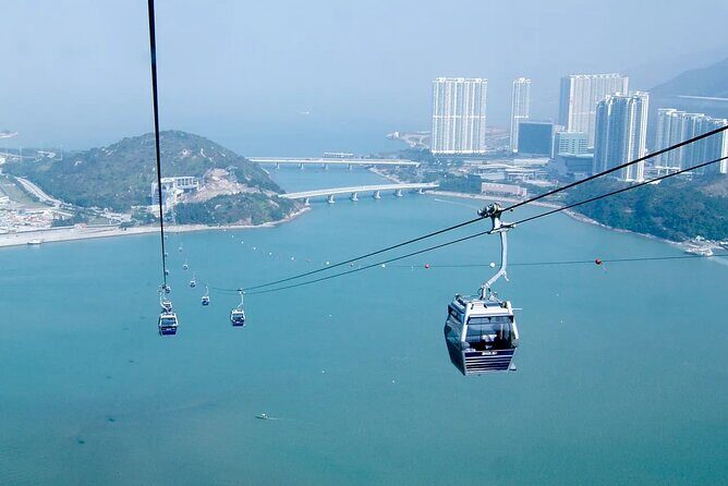 Lantau Island Day Trip | Big Buddha, Dolphin Watching & Cable Car - Good To Know