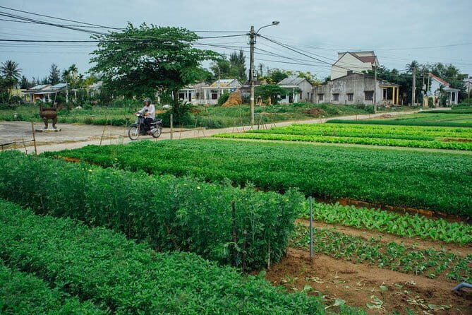 Lantern making class and Tra Que Bike Tour - Who Is This Tour Best For?