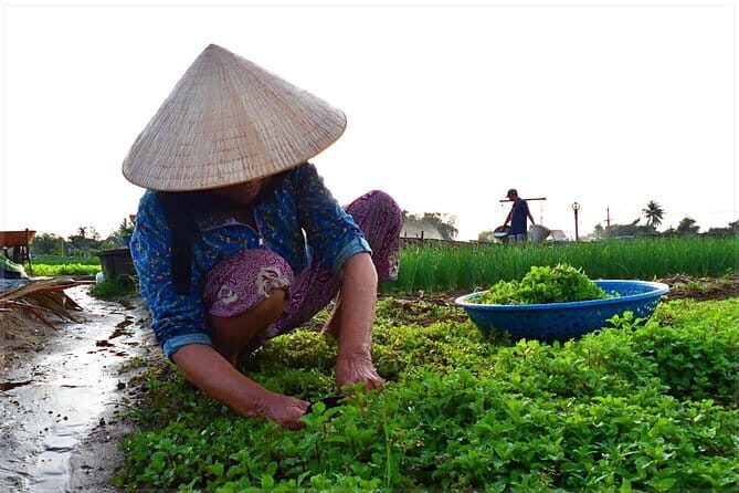 Lantern making class and Tra Que Bike Tour - The Sum Up