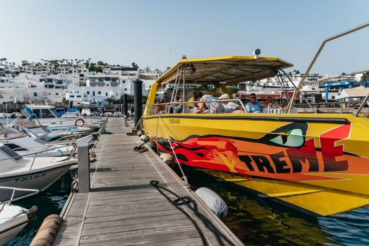 Lanzarote: 2.5-Hour Sunset and Dolphins Cruise - Experience