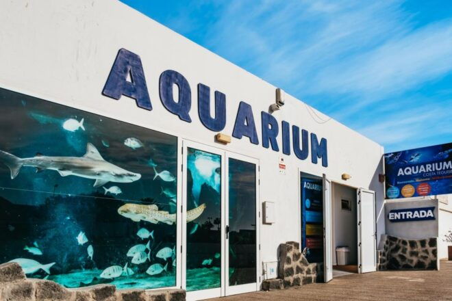 Lanzarote: Aquarium Entry Ticket - Review Summary