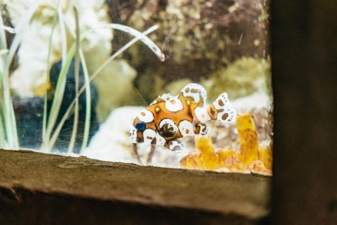 Lanzarote: Aquarium Entry Ticket - Review 1