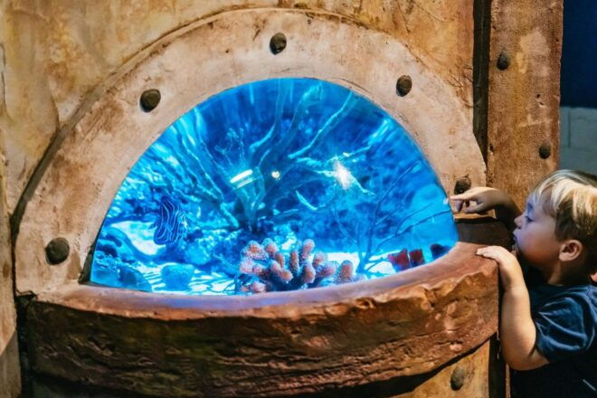 Lanzarote: Aquarium Entry Ticket - Review 2