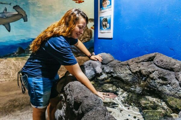Lanzarote: Aquarium Entry Ticket - Directions
