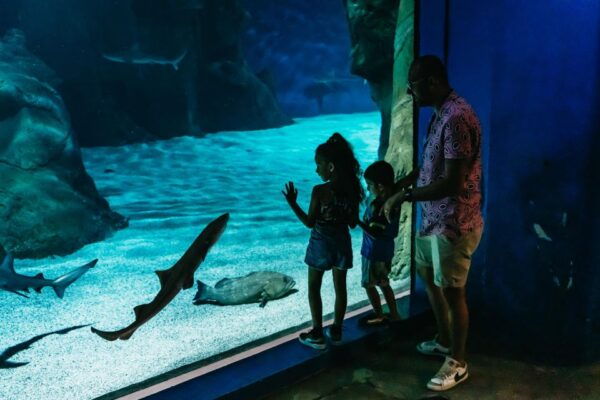 Lanzarote: Aquarium Entry Ticket - Additional Information
