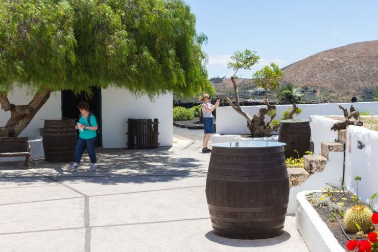 Lanzarote: Audio Guided Tour of the El Grifo Wine Museum - Tour Highlights