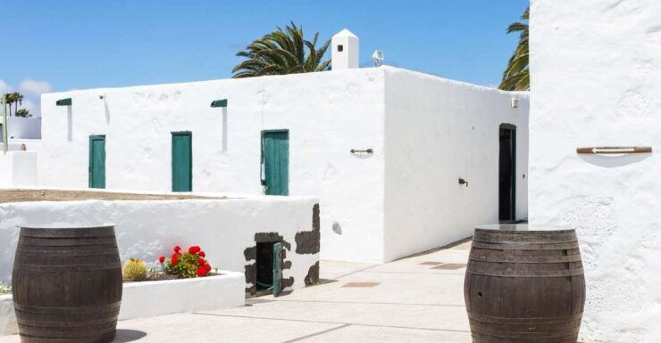 Lanzarote: Audio Guided Tour of the El Grifo Wine Museum - Ticket Details
