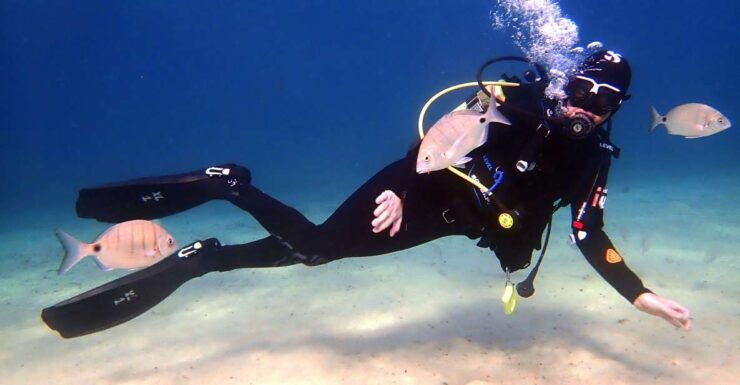Lanzarote: Beginner Diving Course Costa Teguise (2 Dives) - Booking Details
