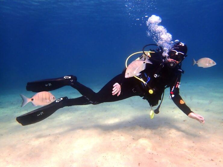Lanzarote: Beginner Diving Course Costa Teguise (2 Dives) - Diving Experience