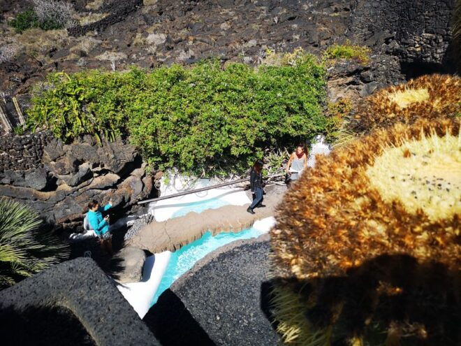 Lanzarote: César Manrique Foundation and Cactus Garden Tour - Review Summary
