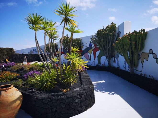 Lanzarote: César Manrique Foundation and Cactus Garden Tour - Additional Reviews