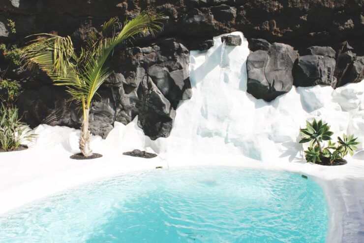 Lanzarote: César Manrique & Teguise Market From Cruise Port - Experience Highlights