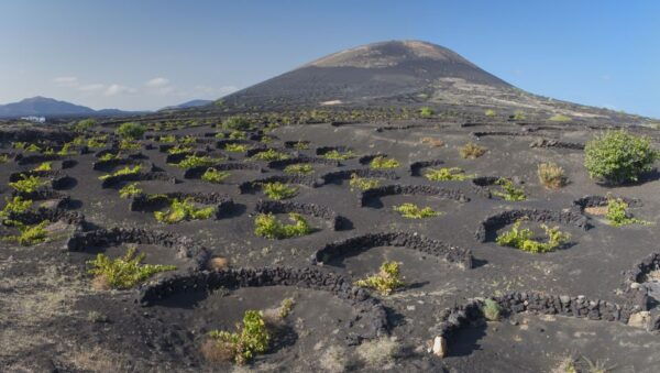 Lanzarote: Day Tour for Cruise Passengers - Directions
