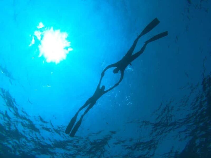 Lanzarote: Discovery Freediving Course in one day - Practical Details and Tips